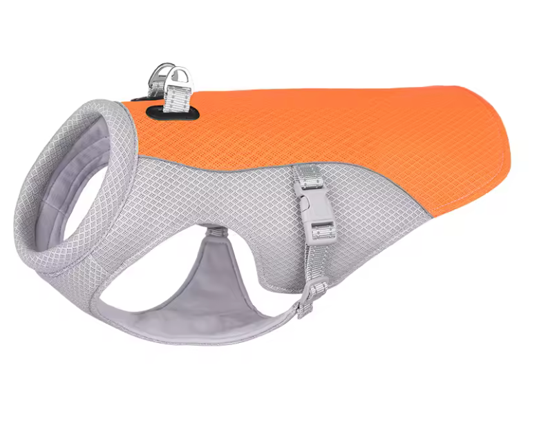 Harnais rafraichissants pour chien